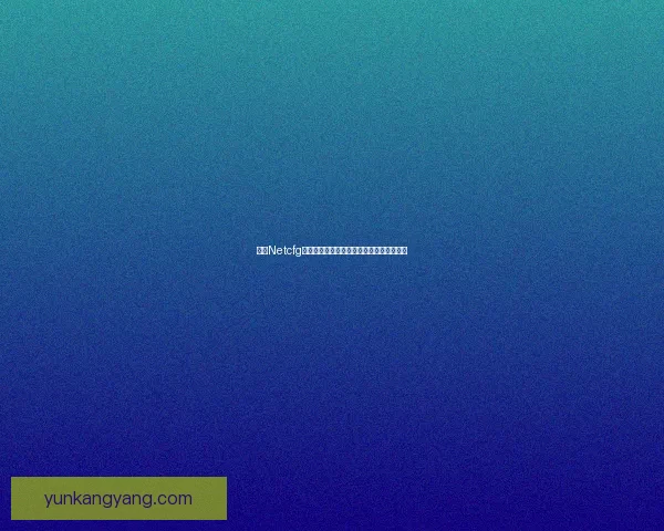 基于Netcfg工具的网络配置管理与自动化优化实践分析